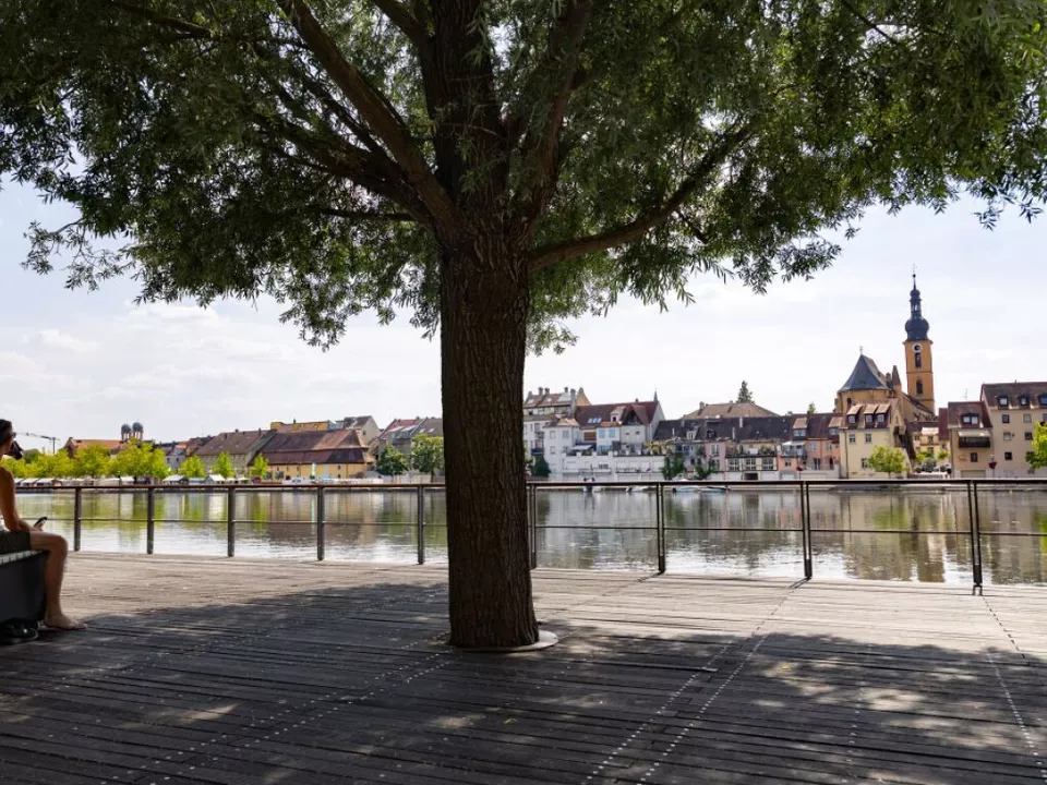 Ein schattiges Plätzchen ist in der Sommerhitze Gold wert