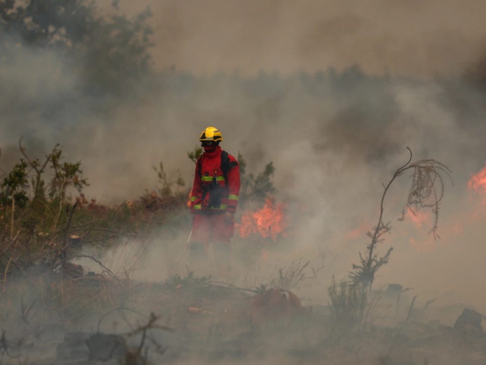Einsatzkräfte bekämpfen in Frankreich die um sich greifenden Flammen
