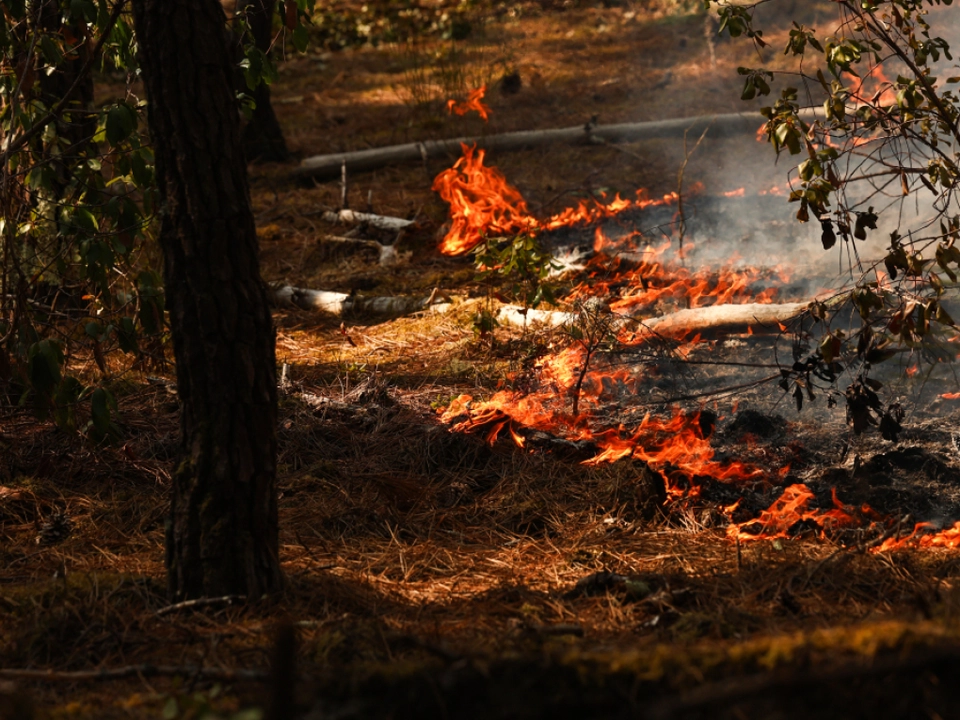 Feuer in Frankreich nicht gelöscht, Sorge um Hitze und Wind