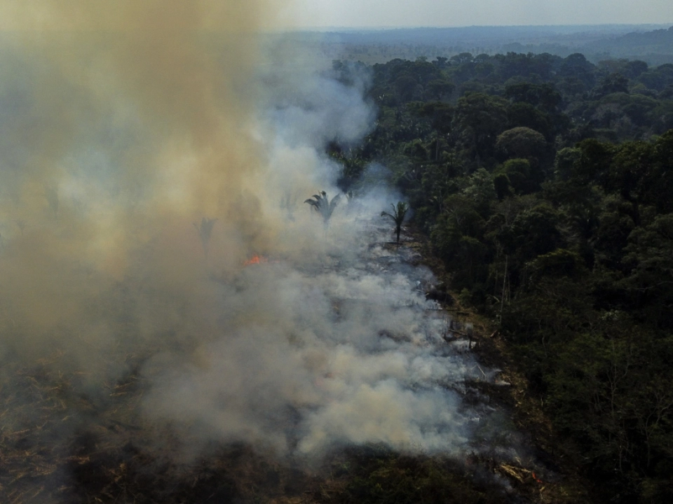 Im Amazonas wüteten 2025 weniger Feuer
