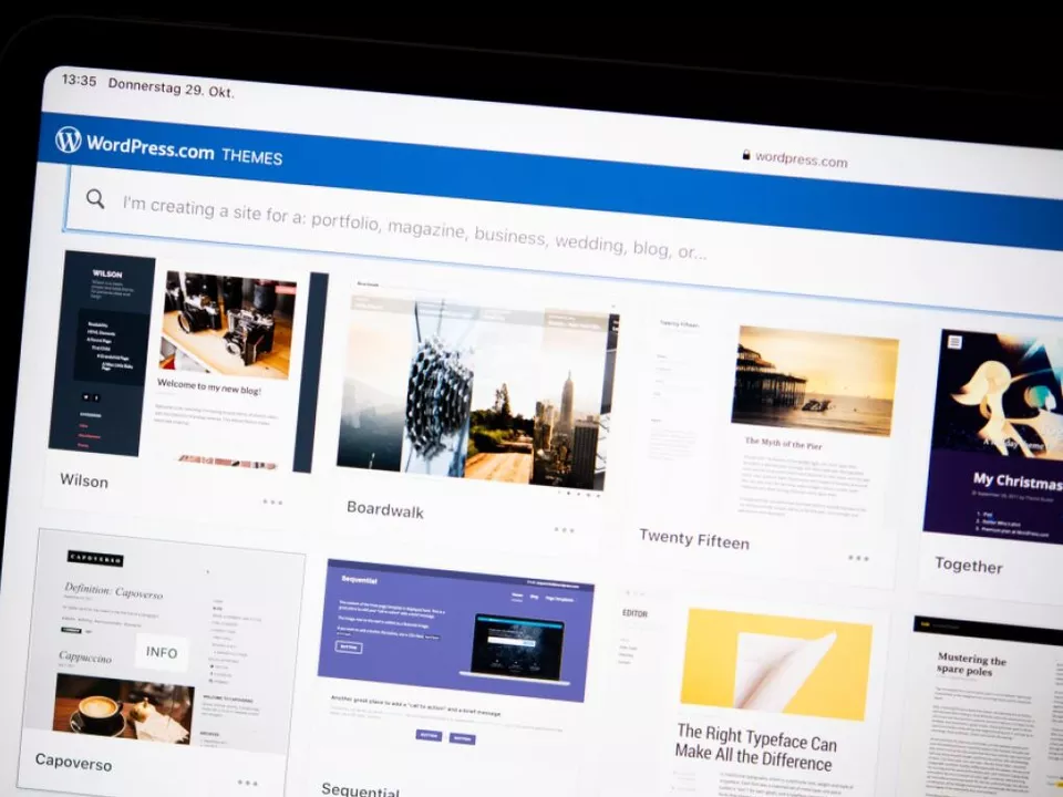 Sicher sind WordPress-Versionen ab 6.9.5
