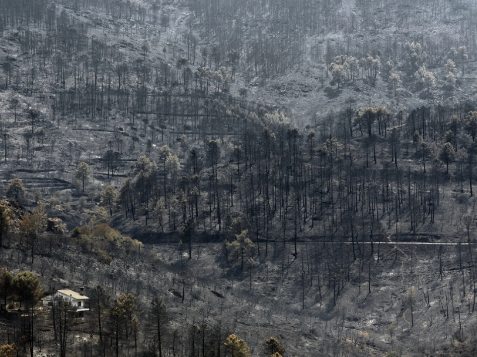 Waldbrände setzten Spanien bereits stark zu