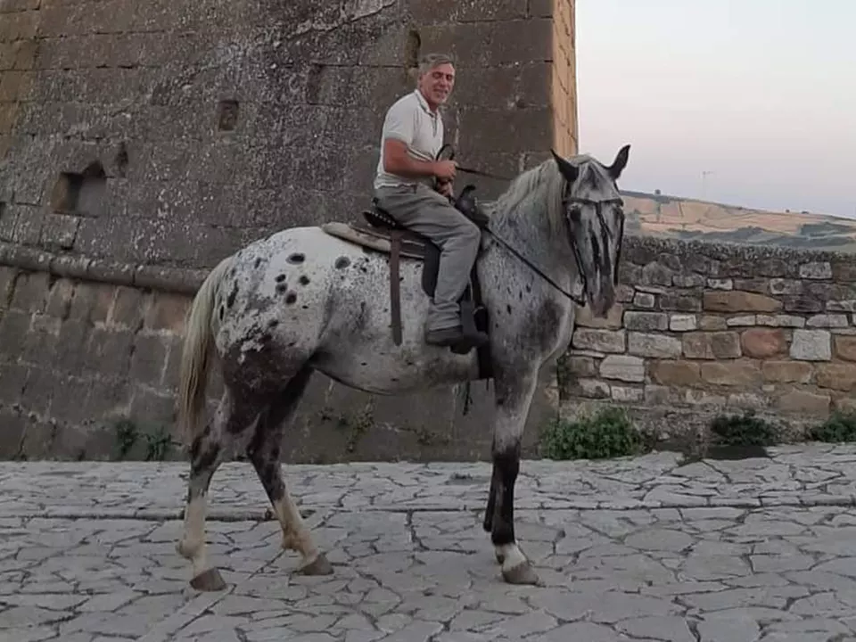 Va dal dentista in sella al cavallo. Oppure percorre il tratturo regio anche per 270 chilometri. O si sposta per lavoro. Sempre in compagnia della sua Maja, una cavalla che fa parte della scuderia di otto destrieri attualmente in suo possesso. E\' la storia di Massimiliano Accetturo, 56 anni, di Rocchetta Sant\'Antonio, piccolo comune dei Monti Dauni in provincia di Foggia. Di professione giardiniere. Dopo venti anni trascorsi per lavoro a Rimini, ha fatto rientro nel comune del Foggiano e, complice l\'aumento vertiginoso del costo del carburante, ha deciso di utilizzare un mezzo molto più economico e soprattutto \
