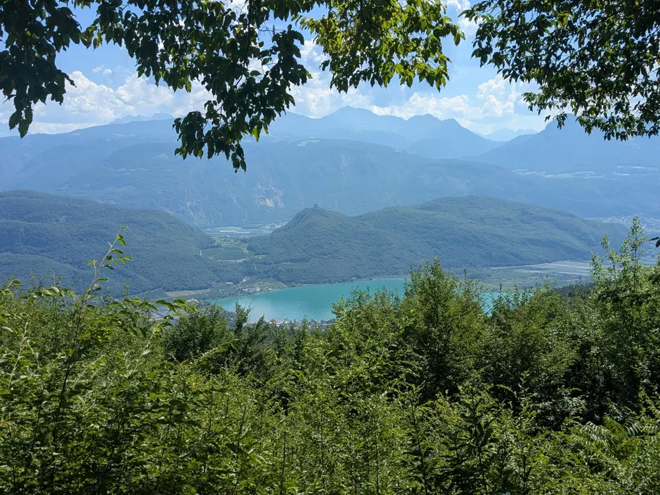 Blick vom Altenburger Wald auf den Kalterer See_Unser Wald