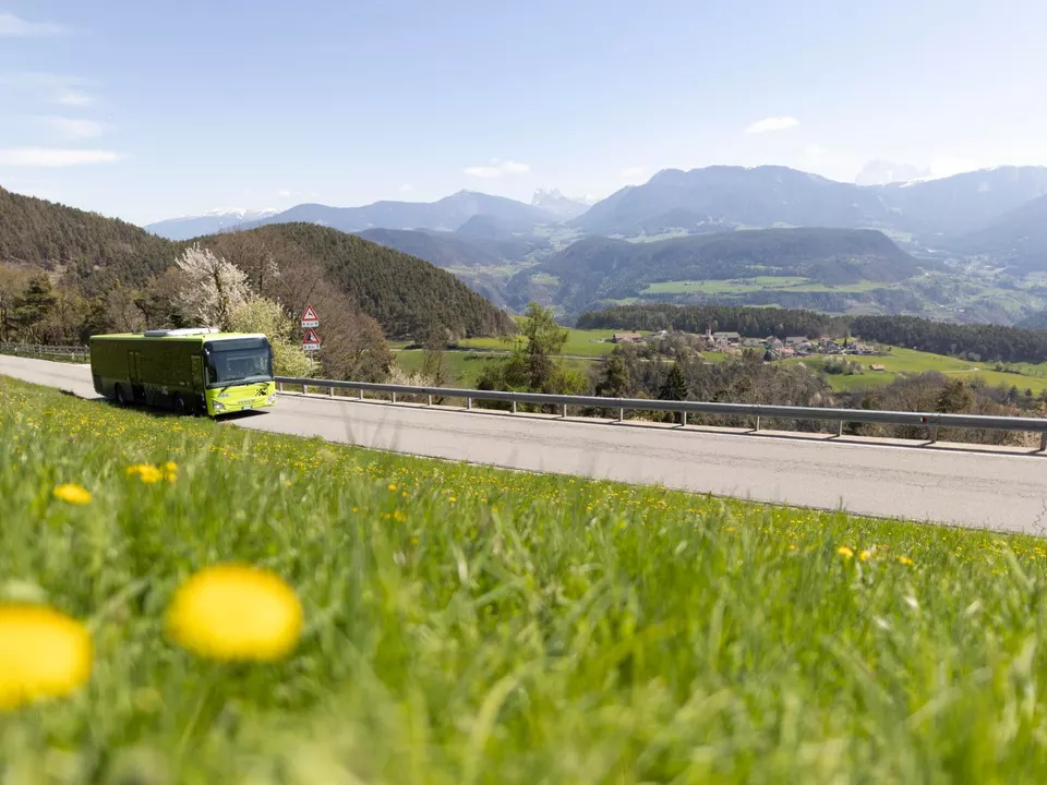 Bus Berg sym
