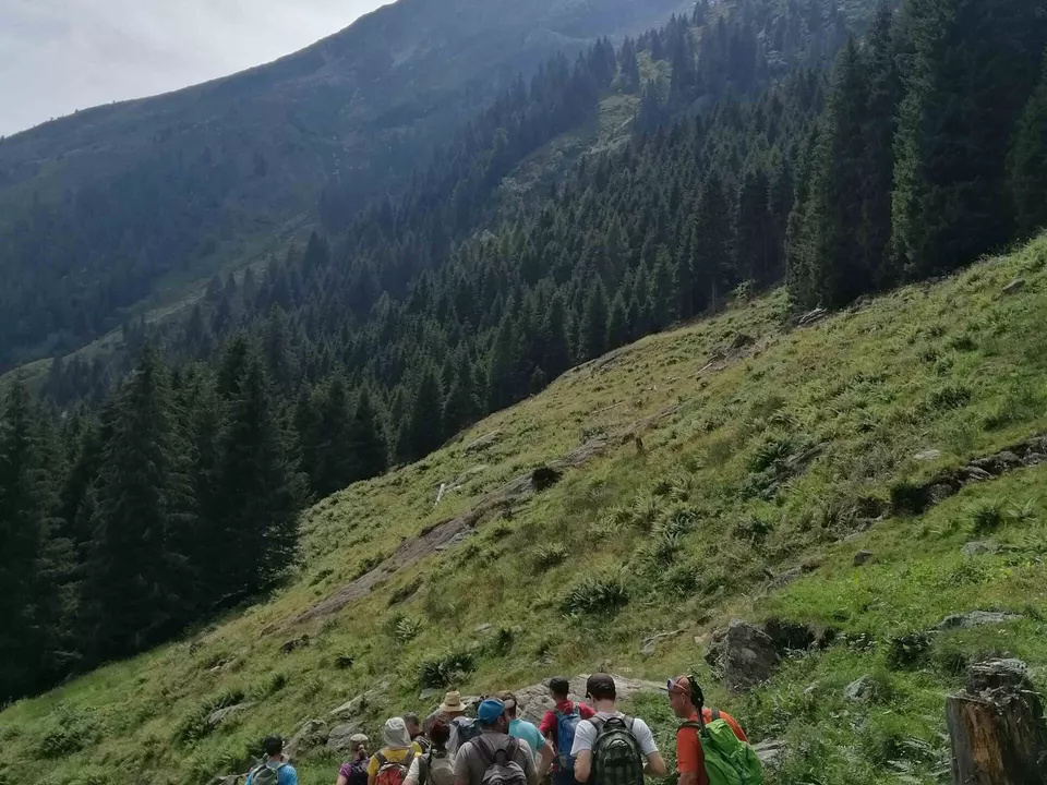 Exkursion Spronsertal_27.8.26 Straße quert diesen Hang Foto TB