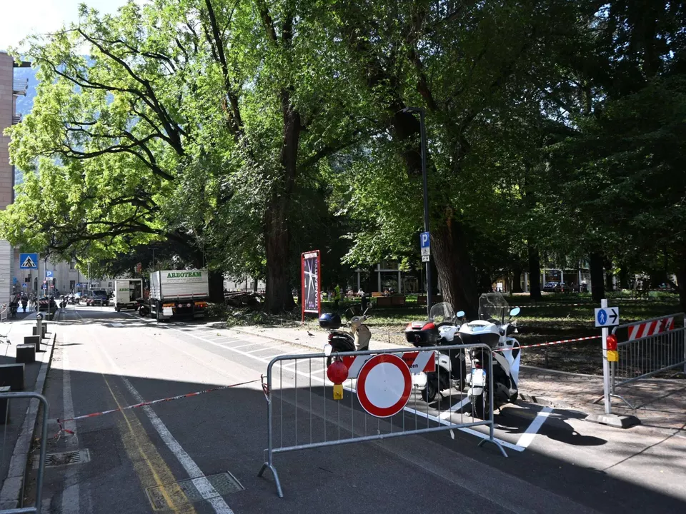 Grosser-Ast-faellt-auf-die-Laurinstrasse.-Strasse-gesperrt-Untersuchungen-laufen