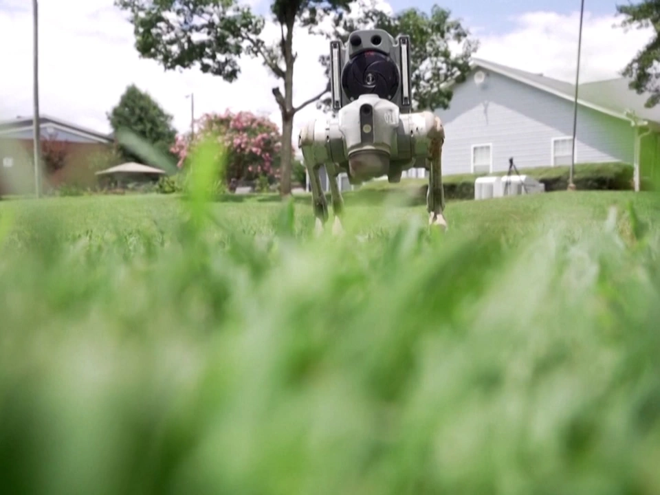 Haus und Garten: Roboterhunde ersetzen Wachhunde