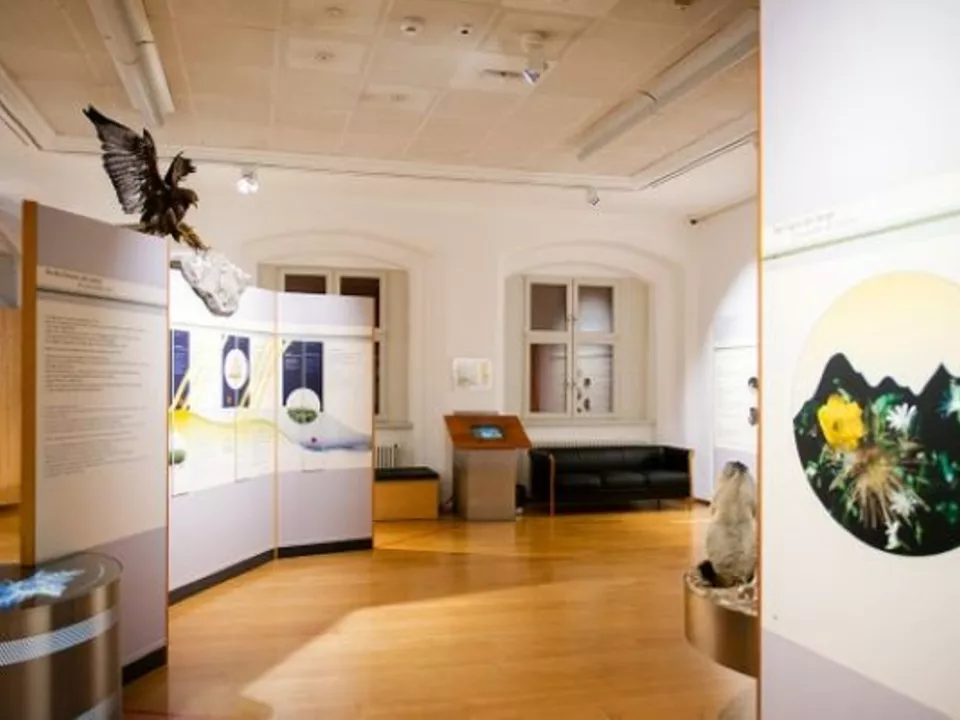 Sieben Millionen Euro für Südtirols Landesmuseen