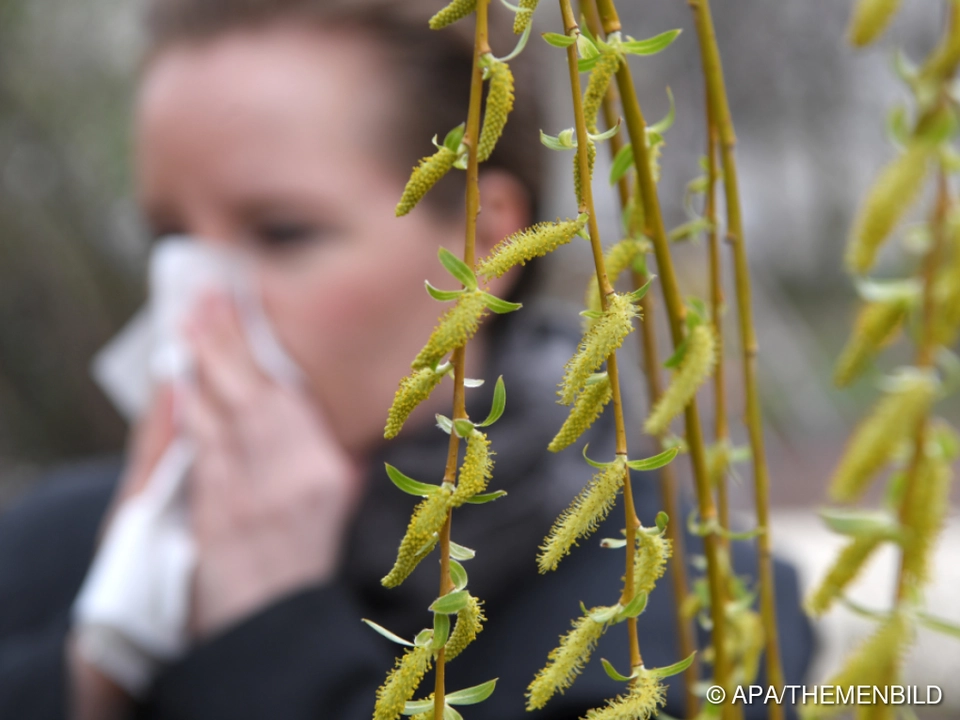 Pollen sind für erwachsene Allergiker öfter das Problem als für Kinder