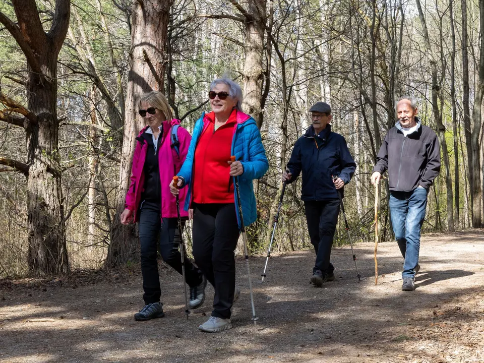 Senioren_Wald_Bewegung_Spazieren_Ingrid Heiss