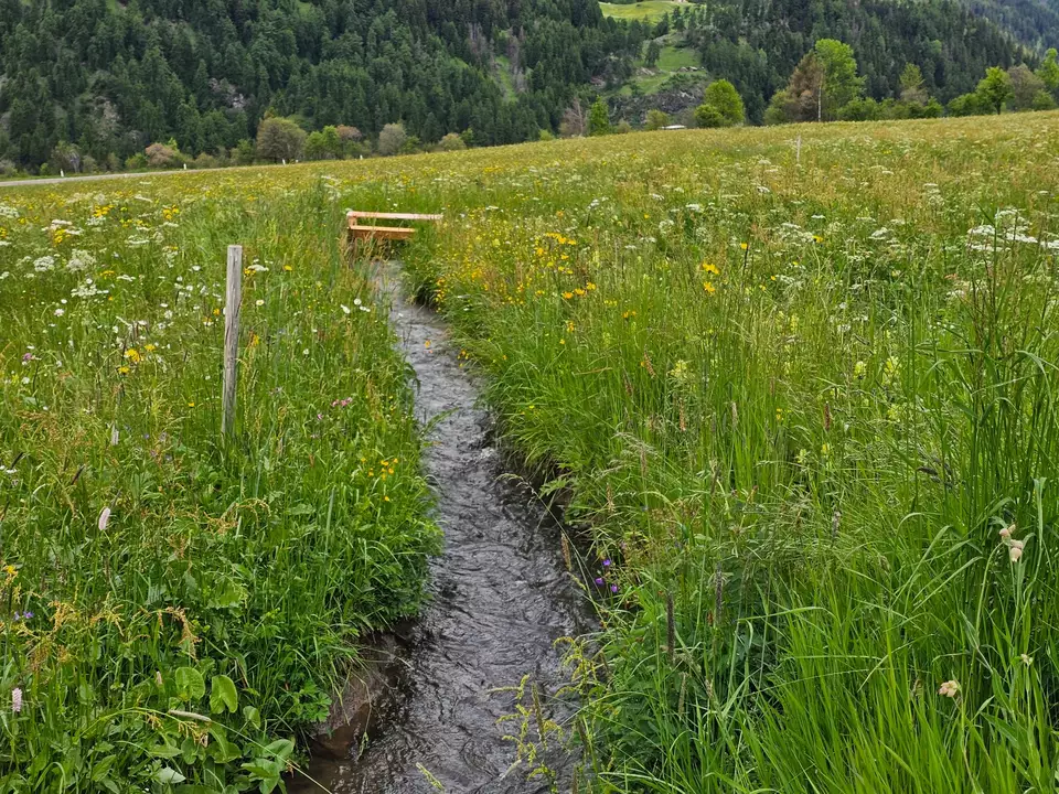 Waal Wiesenwassern_Malser Haide