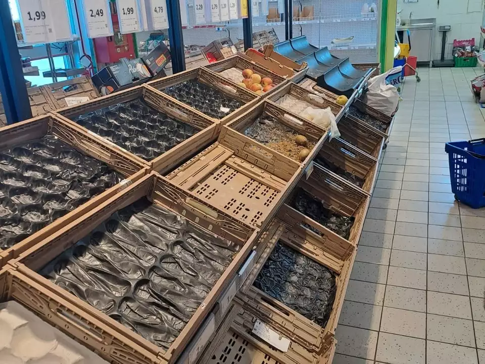 856186776_10232419385363696_8643485670835561586_n