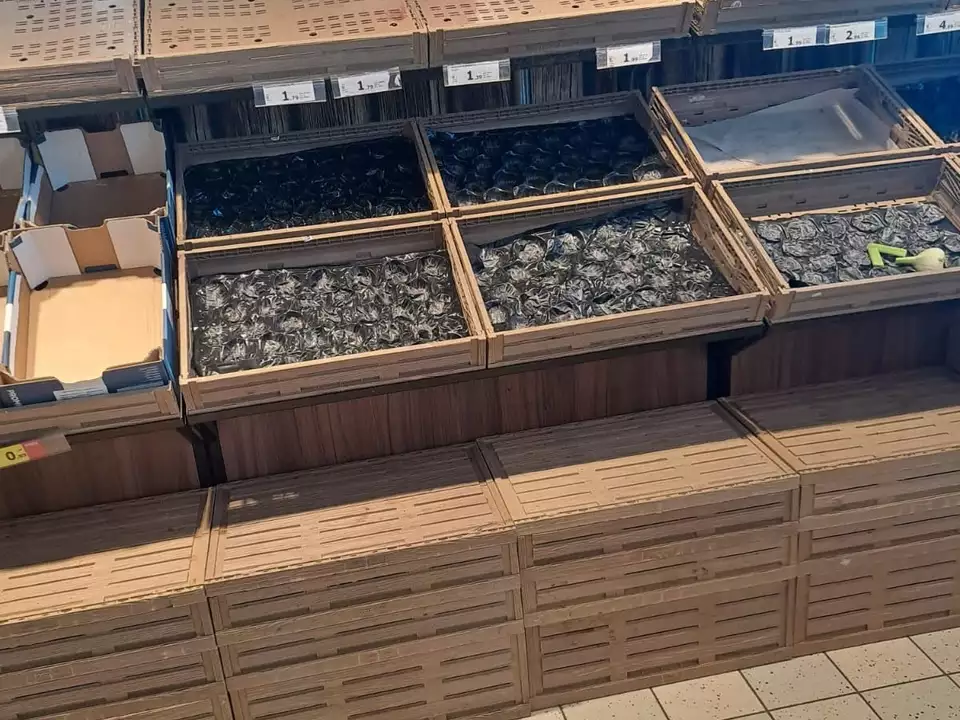 857904331_10232419363523150_6060842322209505403_n