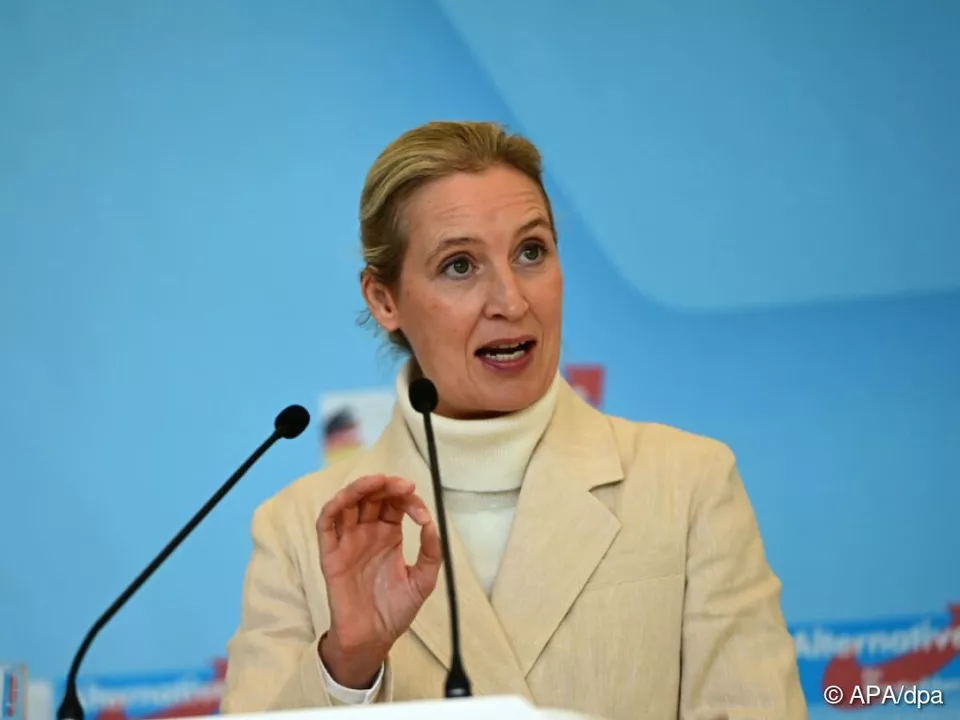 AfD-Chefin Weidel will mehr mit der FPÖ kooperieren