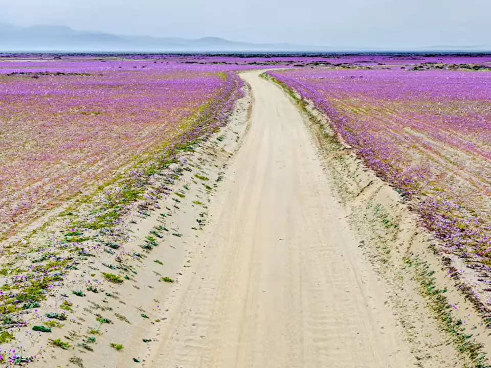 atacama wüste