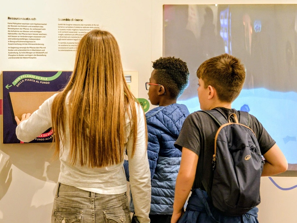 Lange Nacht der Bozner Museen 2026 im Naturmuseum Südtirol