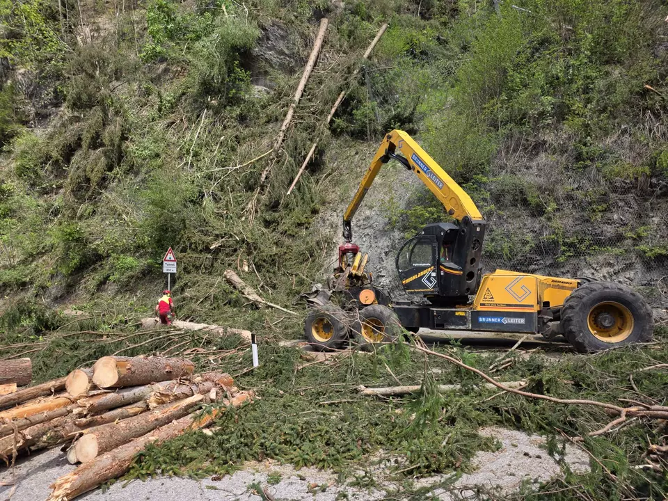 borkenkäfer straße dolomiten gadertal sperre